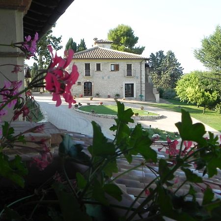 Tenuta Pizzogallo Amelia Ngoại thất bức ảnh