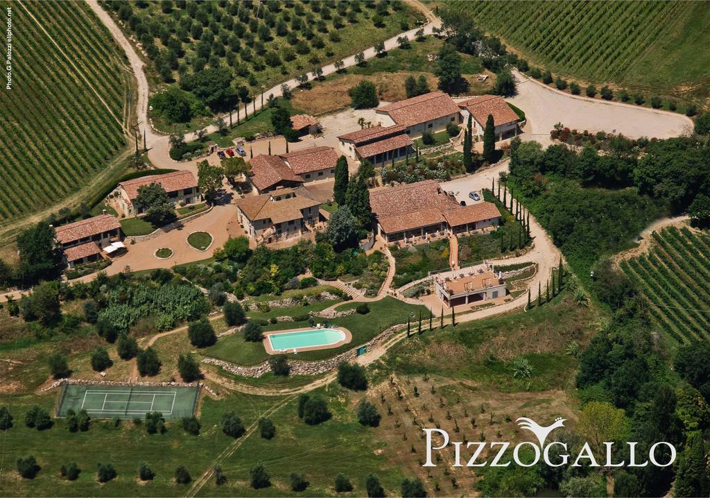 Tenuta Pizzogallo Amelia Ngoại thất bức ảnh