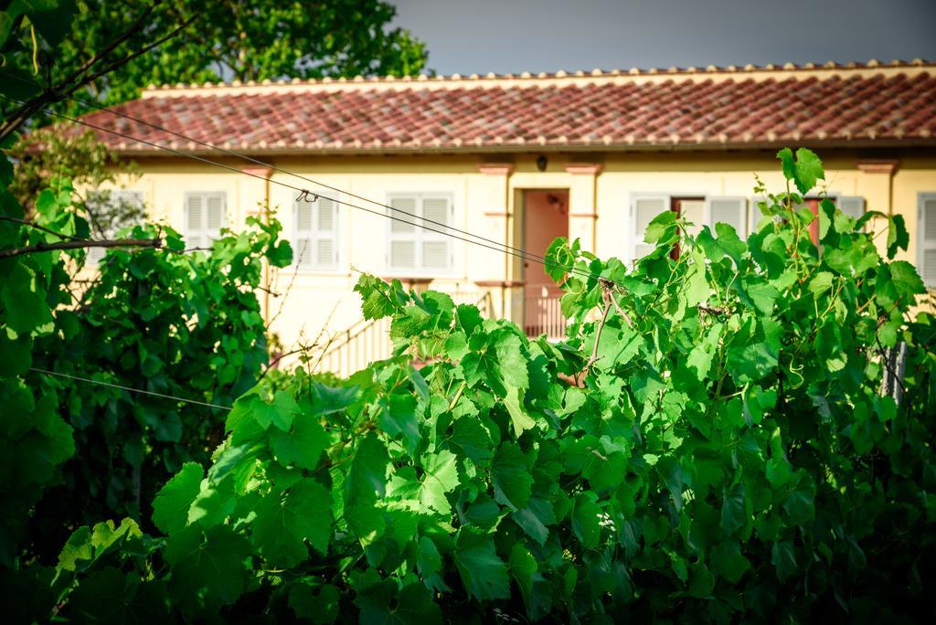 Tenuta Pizzogallo Amelia Ngoại thất bức ảnh