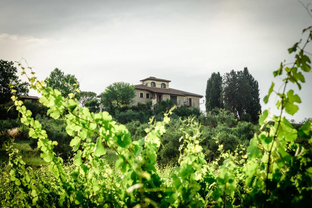 Tenuta Pizzogallo Amelia Ngoại thất bức ảnh