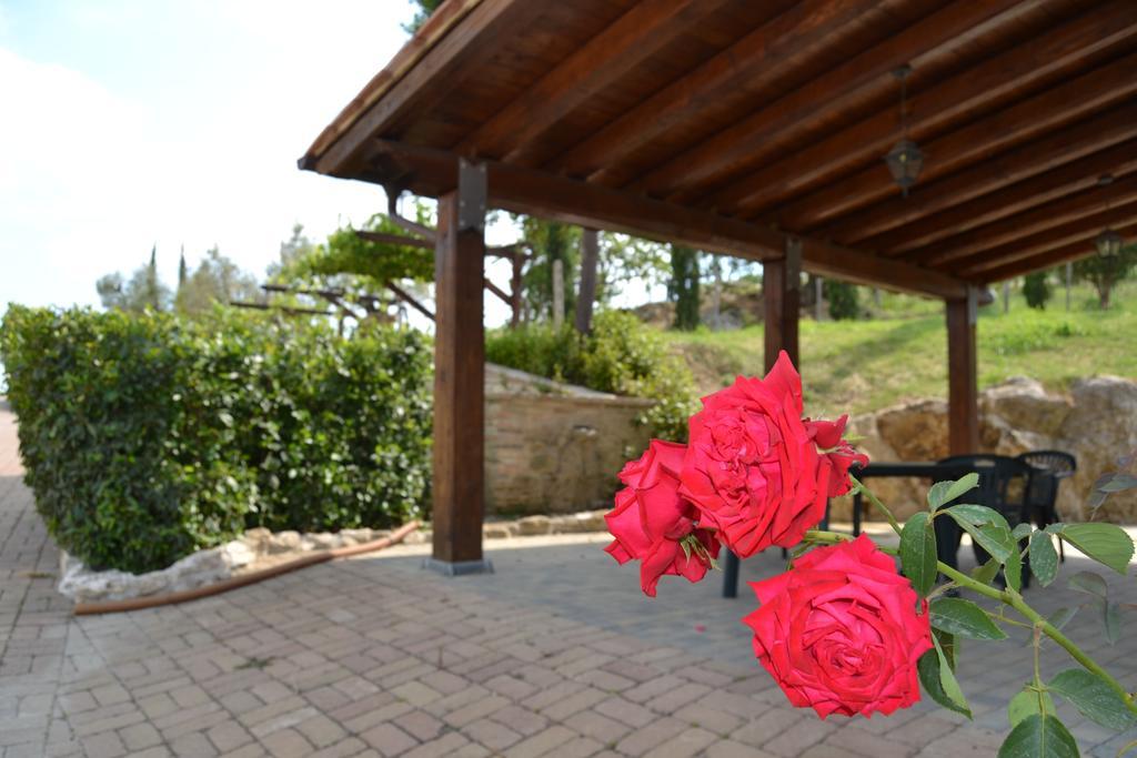 Tenuta Pizzogallo Amelia Ngoại thất bức ảnh