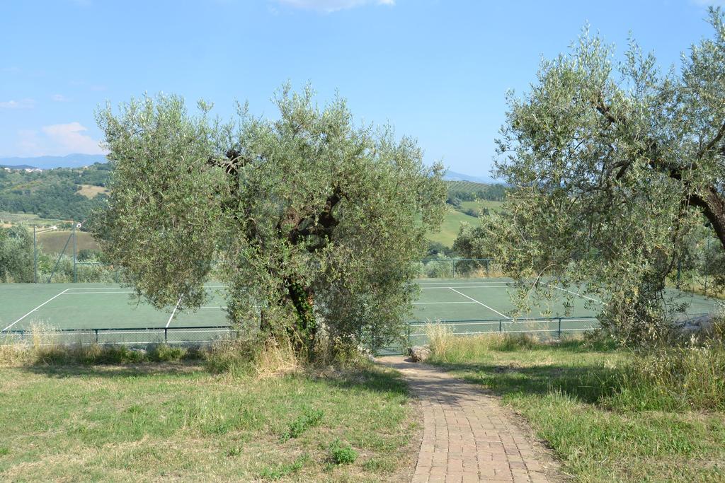 Tenuta Pizzogallo Amelia Ngoại thất bức ảnh