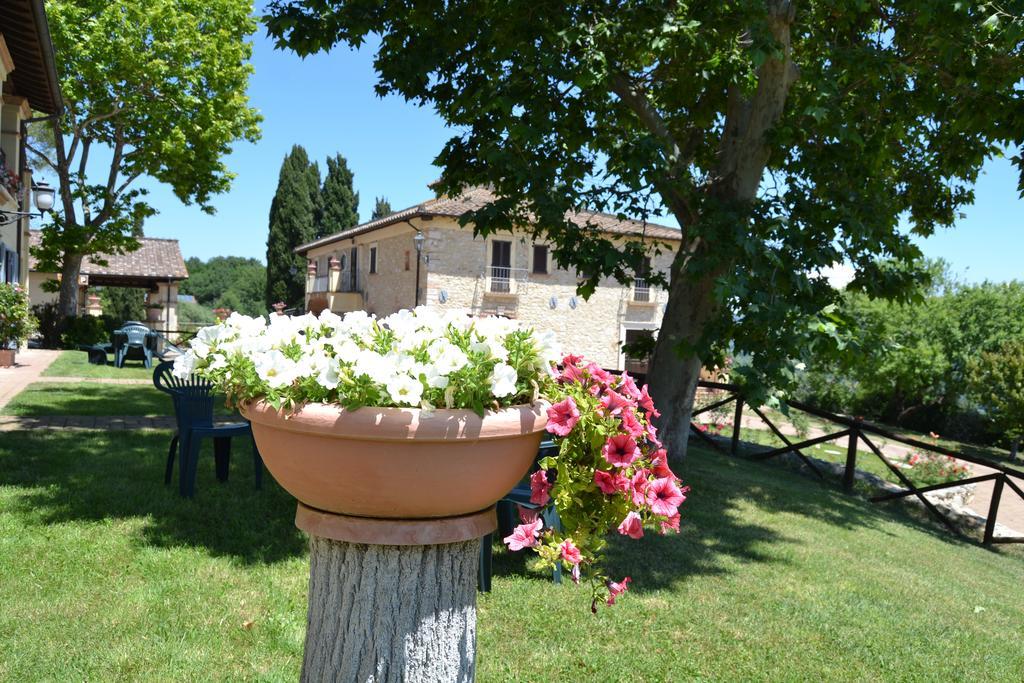 Tenuta Pizzogallo Amelia Ngoại thất bức ảnh