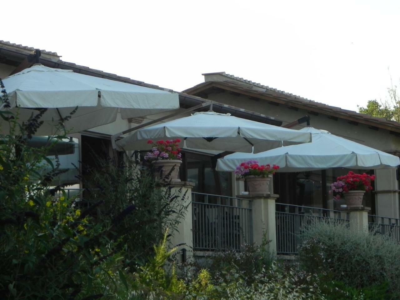 Tenuta Pizzogallo Amelia Ngoại thất bức ảnh